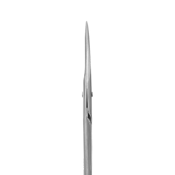 Ножиці універсальні прямі Staleks Classic 31 Type 1 SC-31/1 SC-31/1 фото