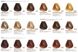 6/11 Крем-фарба для волосся BBCOS Innovation Evo блондин темний інтенсивний попелястий 100 мл 6/11E фото 5
