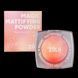 Пудра для лица Zola Magic Mattifying Powder Beige 5 г 2675255199 фото 1