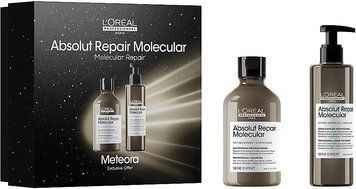 Набір L'Oreal Professionnel Serie Expert Absolut Repair Molecular (шампунь 300 мл + змивна сироватка 250 мл) 2799315567 фото