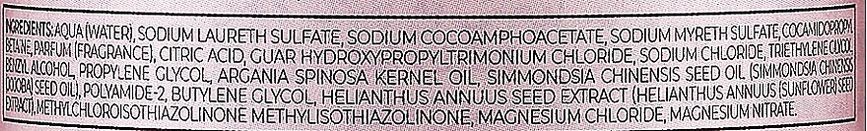 Шампунь с аргановым маслом для окрашенных волос Inebrya Pro-Age Shampoo Argan Oil 300 мл 1026329 фото