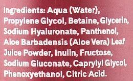 Спрей для обличчя з гіалуроновою кислотою Q+A Hyaluronic Acid Face Mist 100 мл 1716306069 фото
