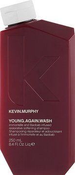 Шампунь для зміцнення довгого волосся Kevin.Murphy Young.Again.Wash 250 мл 2534010027 фото